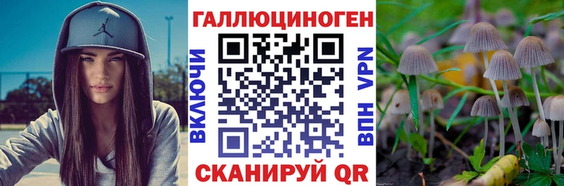 Галлюциногенные грибы Psilocybine cubensis  где продают   Белово 